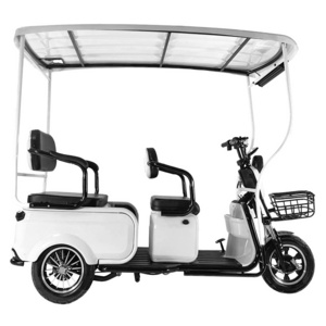 Factory OEM 600W 60V Three-wheeled Tuktuk New Coming Solar Electric Tricycle With Canopy