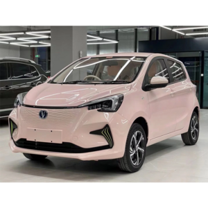 New EV Car 23 Changan Benben E Star E-Star National Edition Delightful Range Cheap Electric Car E Star Changan 2023 300km Electr