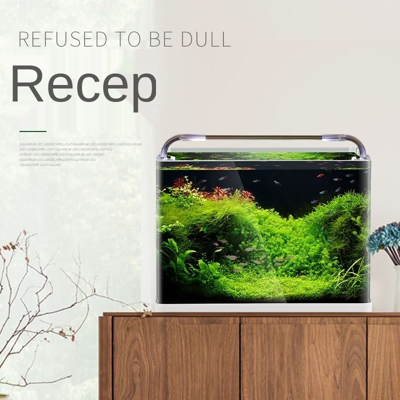 Special Design Acrylic Fish Tank New Design Fish Tank Aquarium