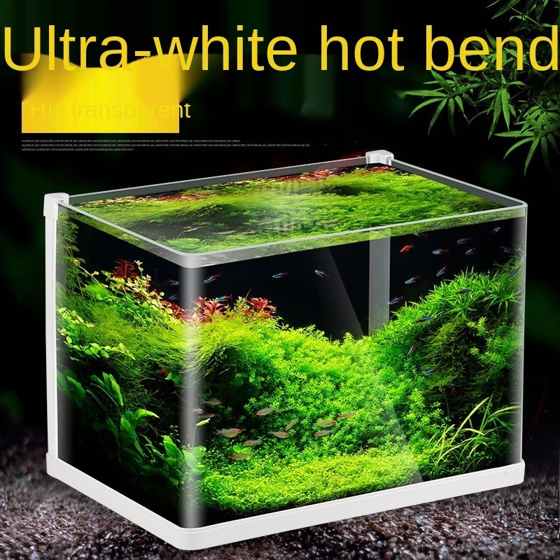 Special Design Acrylic Fish Tank New Design Fish Tank Aquarium