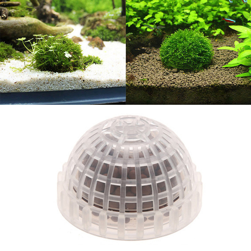 Moss Ball Filtration Decor Marimo Live Aquarium Plant Algae Pet Fish Shrimp Tank Ornament Happy Environmental Green Seaweed Ball