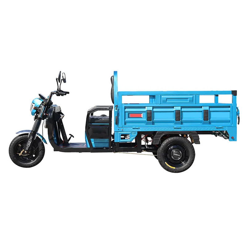 China 3 Wheel Heavy Load Motor Truck Motorcycle Electric Cargo Tricycle