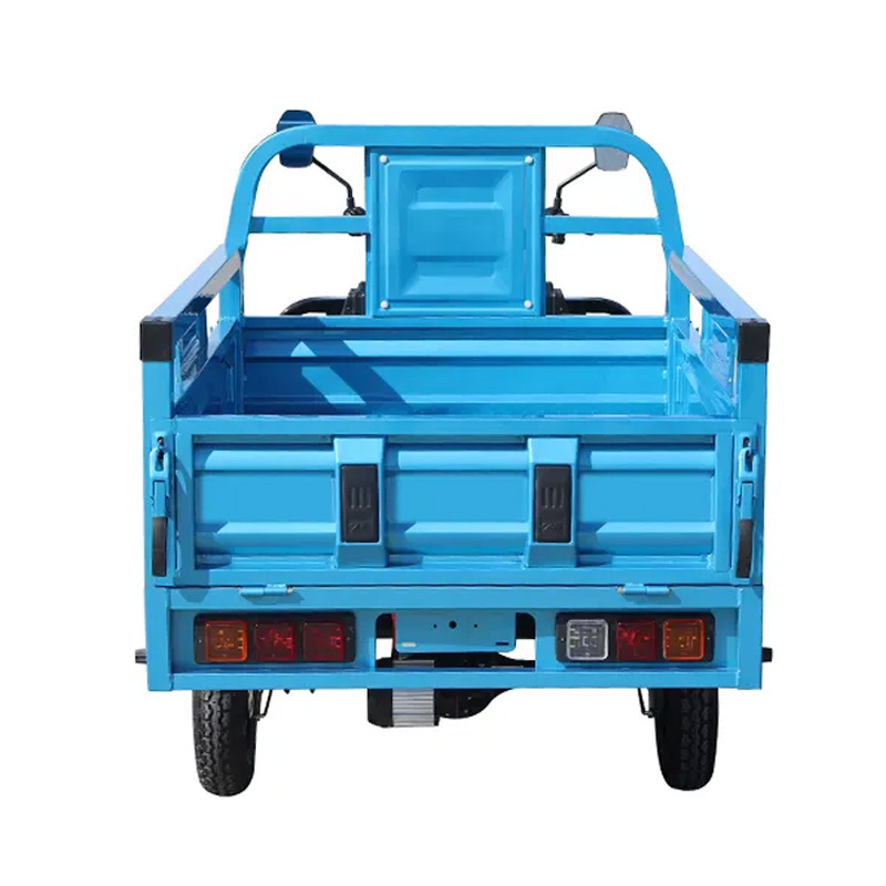 China 3 Wheel Heavy Load Motor Truck Motorcycle Electric Cargo Tricycle