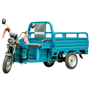 China 2 Seat Heavy Load Three Wheel Delivery Motorcycle Cargo Electric Tricycle