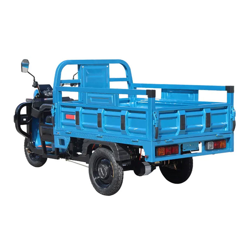 China 3 Wheel Heavy Load Motor Truck Motorcycle Electric Cargo Tricycle