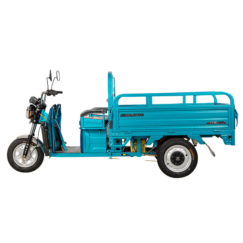 China 2 Seat Heavy Load Three Wheel Delivery Motorcycle Cargo Electric Tricycle