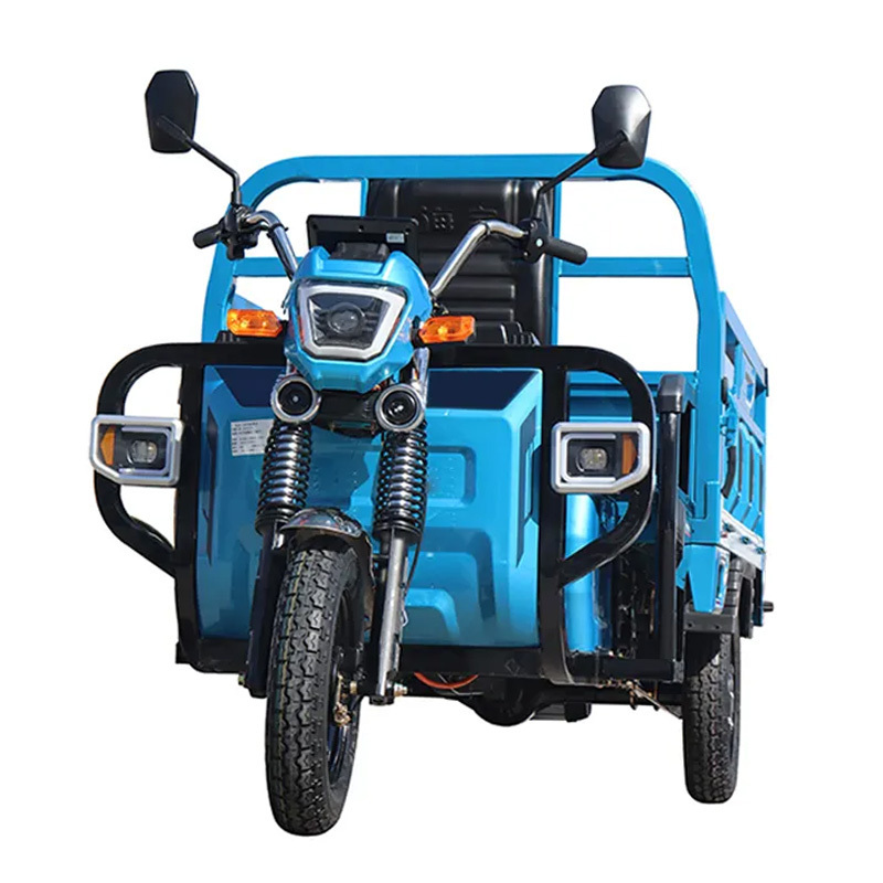 China 3 Wheel Heavy Load Motor Truck Motorcycle Electric Cargo Tricycle