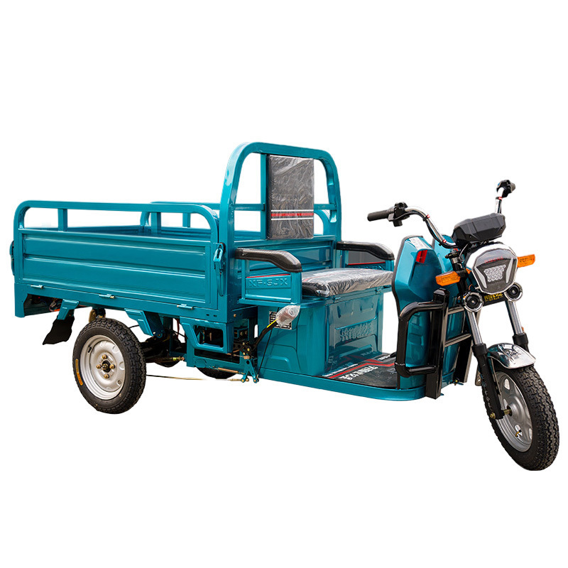 China 2 Seat Heavy Load Three Wheel Delivery Motorcycle Cargo Electric Tricycle