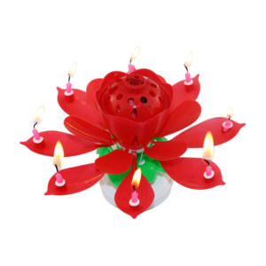 Lotus Flower Musical Fireworks Birthday Candle for parties