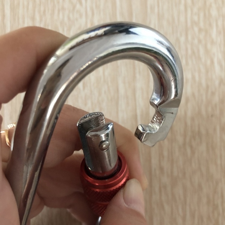 304 Stainless Steel Locking Carabiner