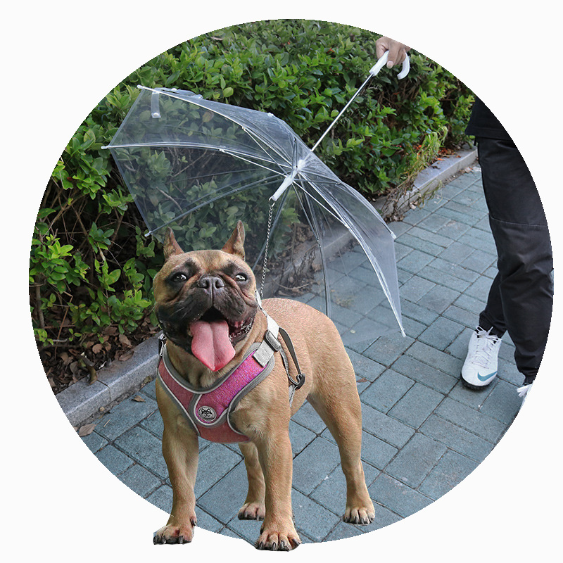 Adjustable Dog Umbrella For Small-Medium Dogs Keeps Your Pet Dry Comfortable In Rain With Leash Pet Umbrella