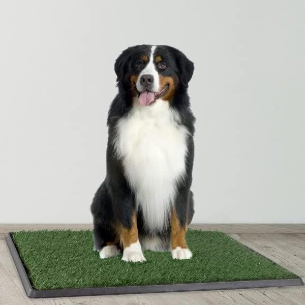 Artificial Grass Puppy Pee Pad For Dogs And Small Pets - 20x30 Reusable 3-Layer Training Potty Pad With Tray