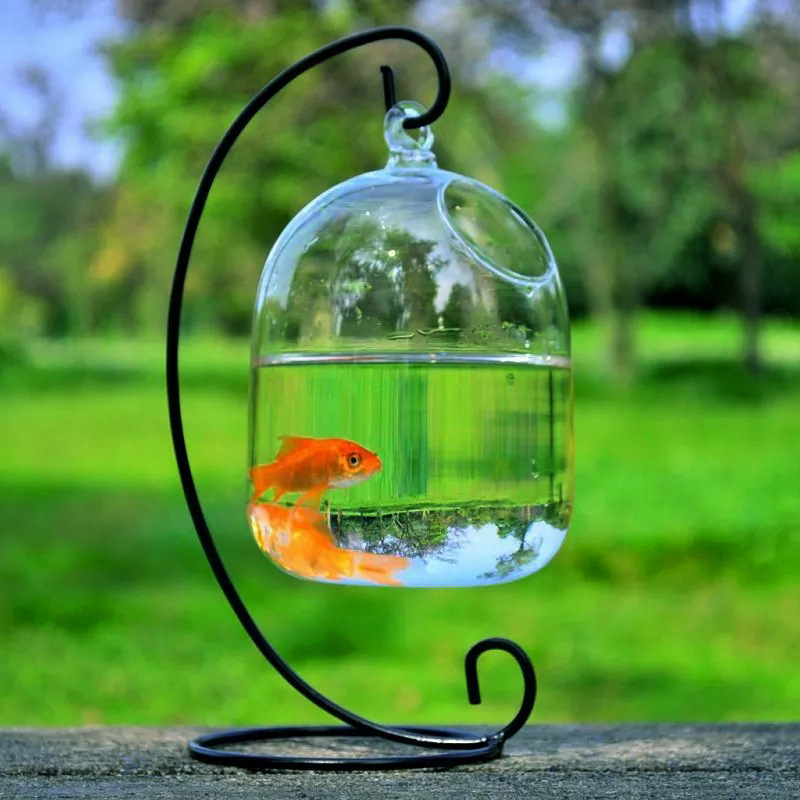 Desk Hanging Fish Tank Bowl with Stand Creative Glass Planter Vase Holder Glass Ornament Fish Bowl Mini Aquarium