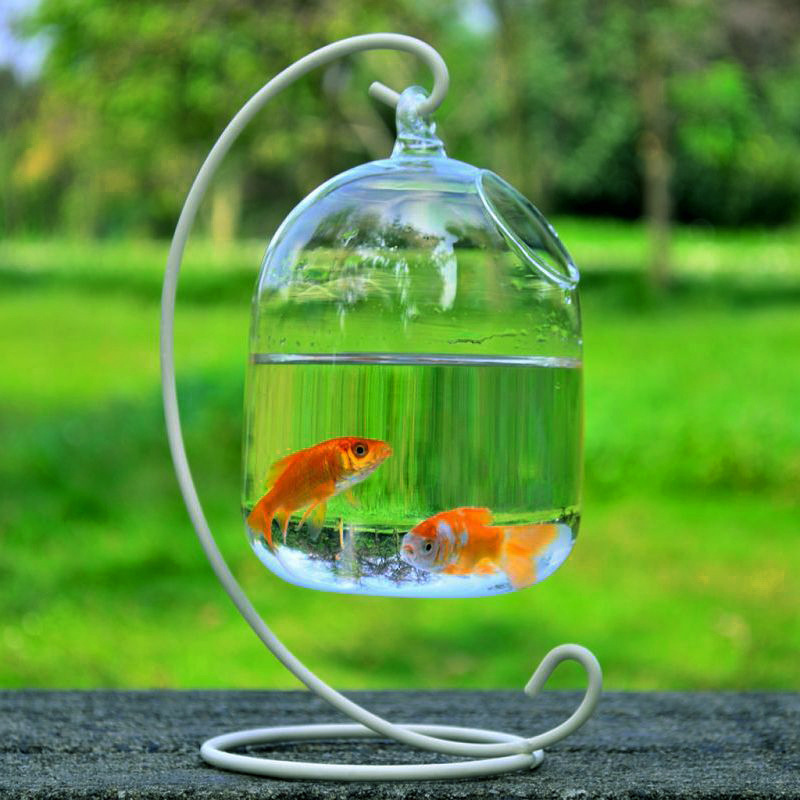 Desk Hanging Fish Tank Bowl with Stand Creative Glass Planter Vase Holder Glass Ornament Fish Bowl Mini Aquarium