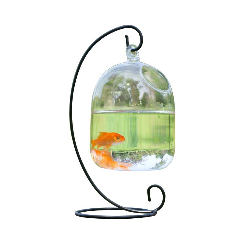 Desk Hanging Fish Tank Bowl with Stand Creative Glass Planter Vase Holder Glass Ornament Fish Bowl Mini Aquarium