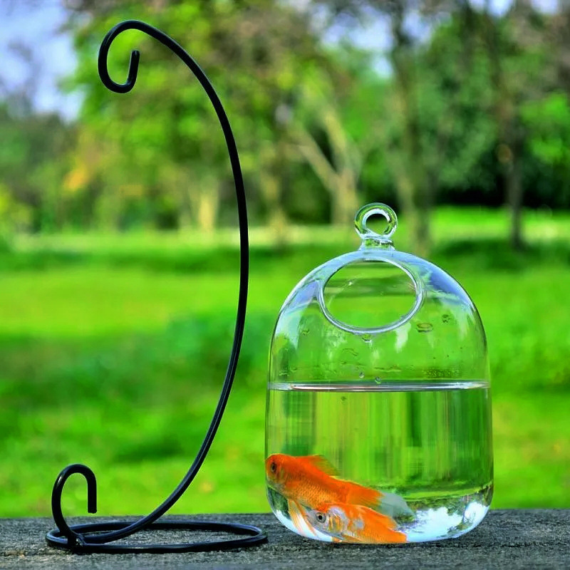 Desk Hanging Fish Tank Bowl with Stand Creative Glass Planter Vase Holder Glass Ornament Fish Bowl Mini Aquarium