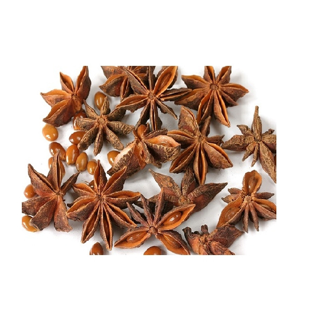 Single Spices & Herbs - Quality Supplier Low Price Whole Sale Star Aniseed Organic Star Anise Spice Ready To Export