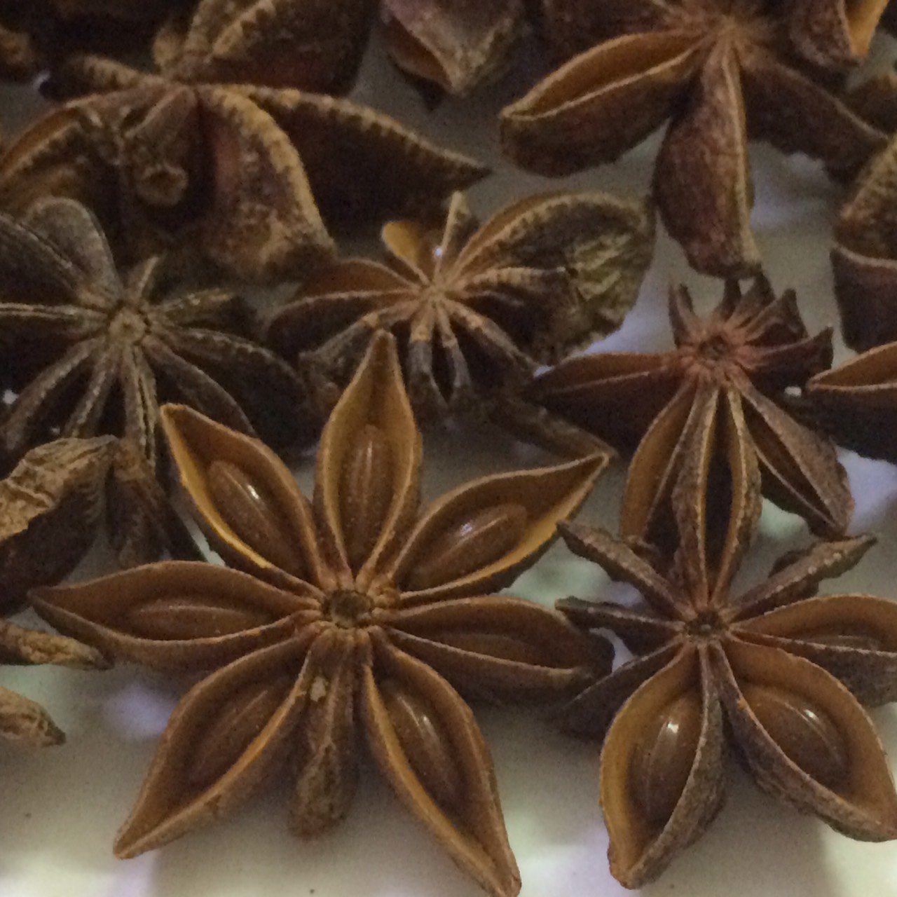 Single Spices & Herbs - Quality Supplier Low Price Whole Sale Star Aniseed Organic Star Anise Spice Ready To Export