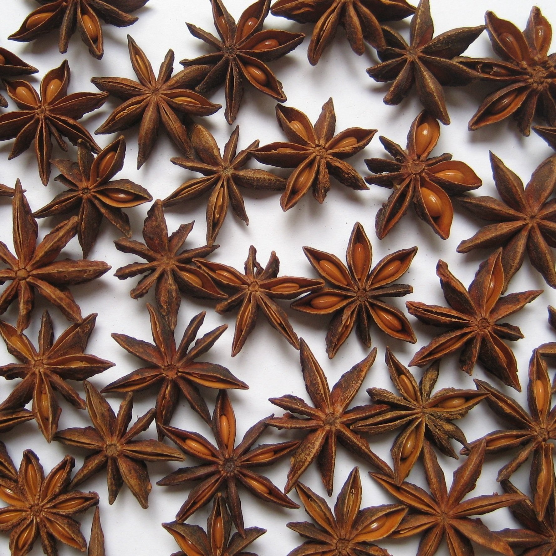 Single Spices & Herbs - Quality Supplier Low Price Whole Sale Star Aniseed Organic Star Anise Spice Ready To Export