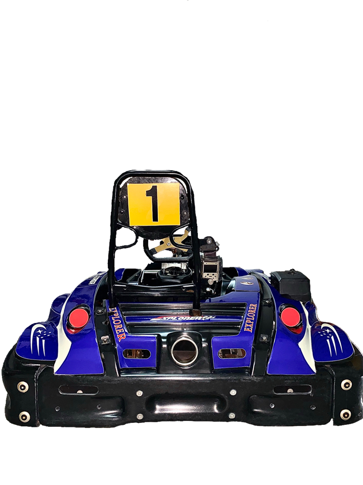 Supply Cheap Price On Sale Professional Manufacturer Kids Go Body TS6 Rental Kart With GX270CC