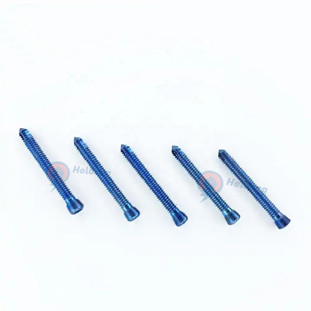 Orthopedic Bone Locking Screw and Medical Surgical Plates Titanium Implant