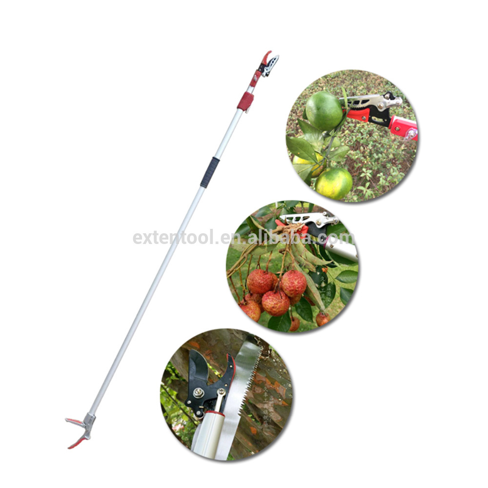 Extentool 3M long reach manual fruit picker with telescopic tree pruner and saw 10ft fruit picking machine