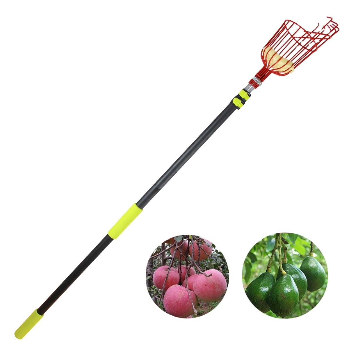 Extentool wholesale fruit picker telescopic with long handle for farmer tool manufacturer from China