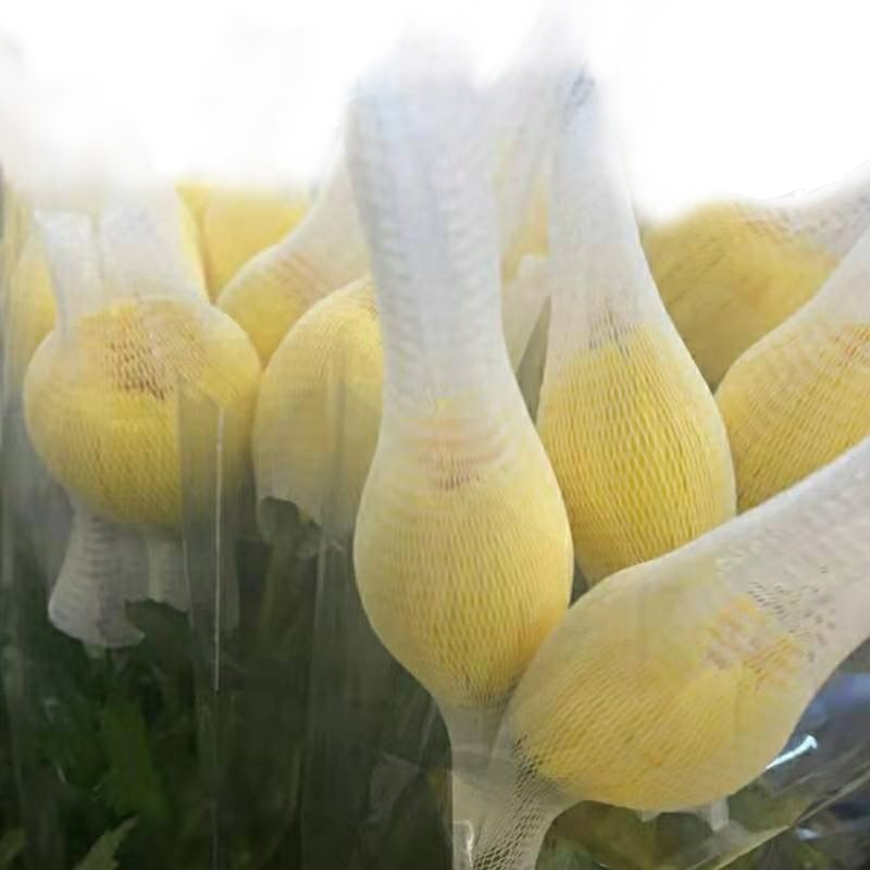 Factory direct export Fresh flowers Gerbera bud wrapping net sleeve mesh bag in rolls