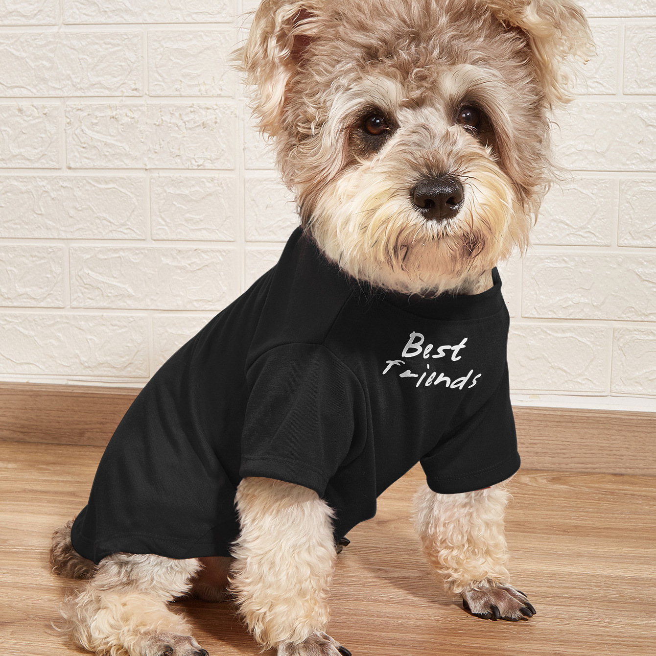 Hot Sales Pet Dog Clothes Dog T Shirt Breathable Polyester Dog T-shirt Cute Summer Dog Clothing Custom Logo Comfortable Cotton