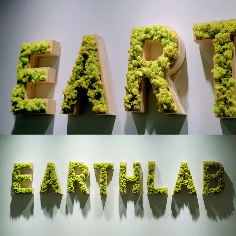 EZD Custom Sign Letters 3D Artificial Grass Moss company logo Moss wall art Real Moss custom logo sign