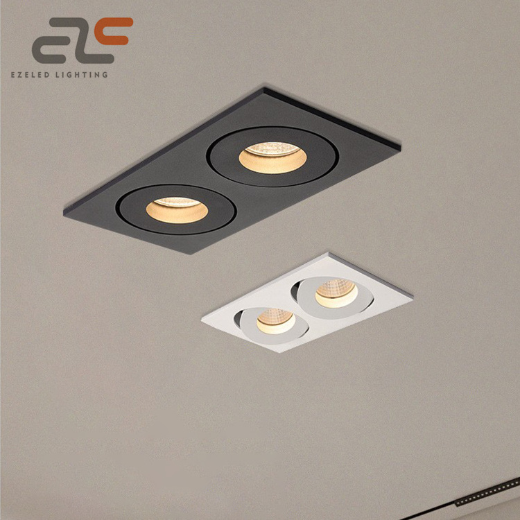 EZELED Wholesale Angle Adjustable COB Embedded House Office Spotlight 2*10W Light Spot LED