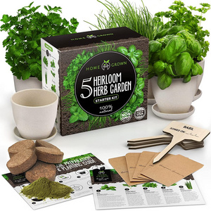 Best Unusual Birthday Gift Unique Gardening products Indoor Herbs Starter Window Garden Grow Kit For Cooking