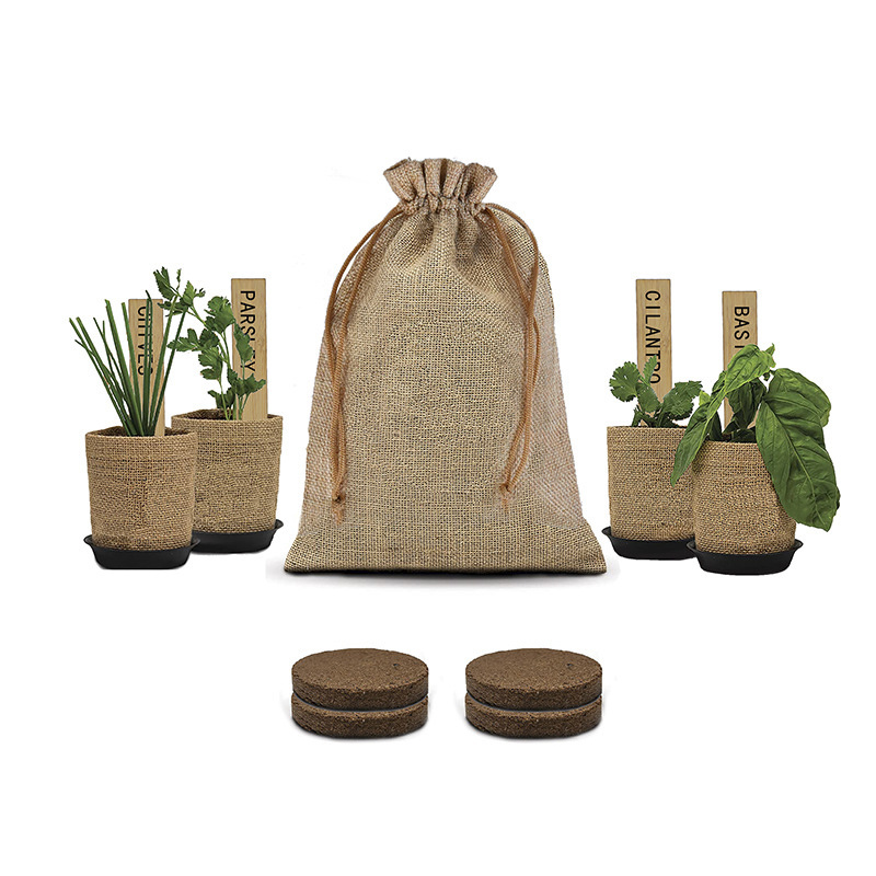 Indoor garden products kit for plant and flowers vegetable bonasi starter kit