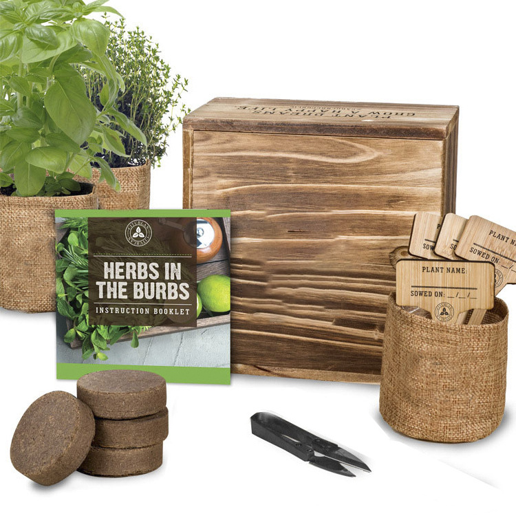 gift items 2021 creative gift for children and mother or any gardeners wholesale herb garden starter kit