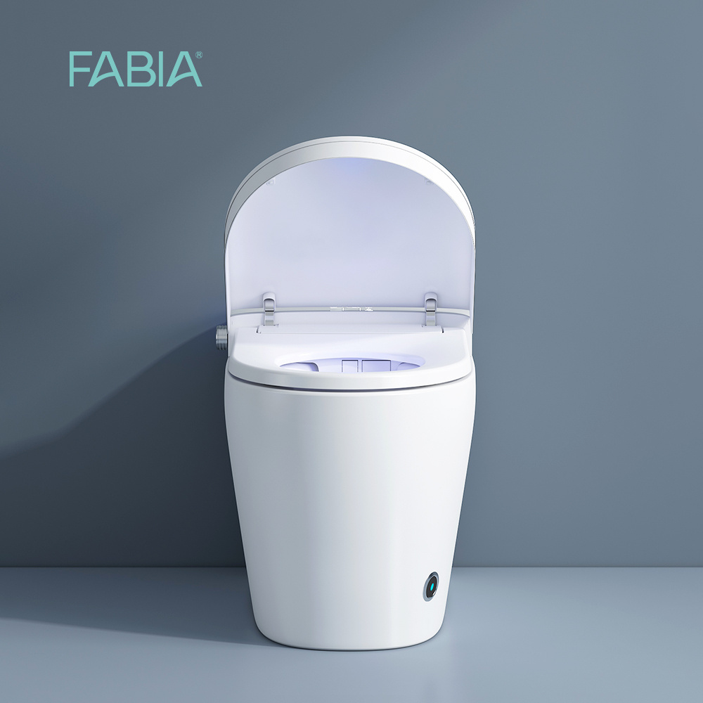 Sanitary ware fixtures public one piece floor mounted wc intelligent automatic flushing smart bidet toilet