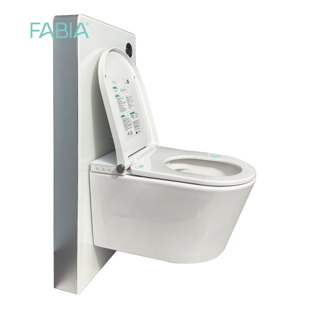 Elongated Wall Hung Power Off Flushing Smart Intelligent Toilet Smart Bidet Wc Toilet One Piece Multifunction Modern Ceramic