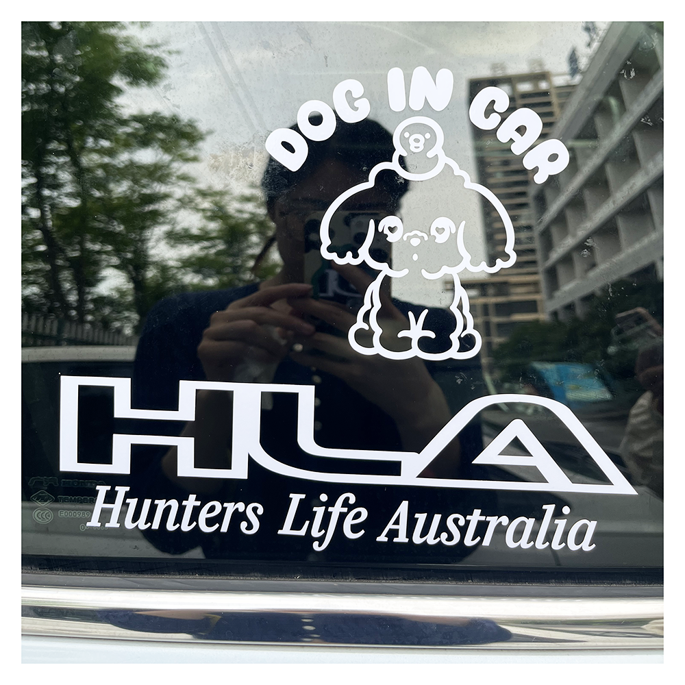 High Quality Weather Resistant Auto Transfer Stickers Die Cut car Vinyl Custom Window Decals