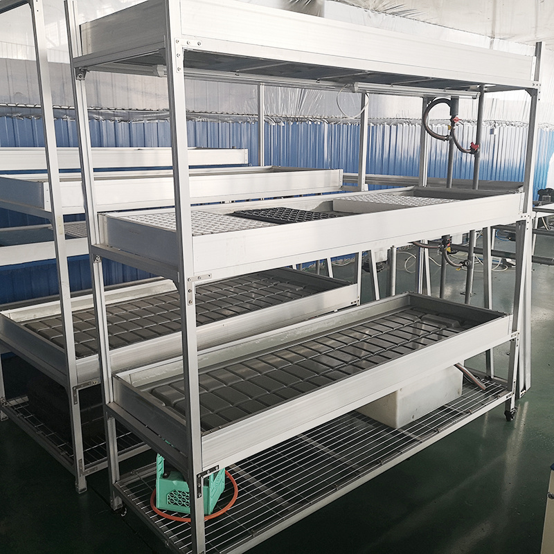 Custom commercial flood tray hydroponic 3x4 4x8 Ebb and flow trays seedbed growing table bench flood tray