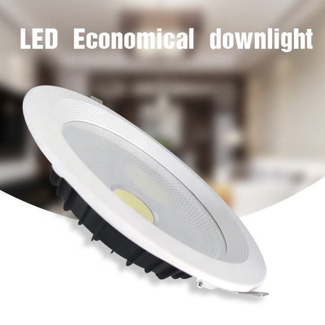 2.5 4 5 8 Inch Led Downlight 3000k 4000k 6500k Recessed Led Down Lighting Slim Fixture COB 7w 10w 15w 20w Down Lights