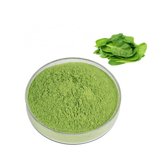 Factory Wholesale Organic Versatile Spinach Vegetable Powder Air Dried Dehydrated Spinach Powder