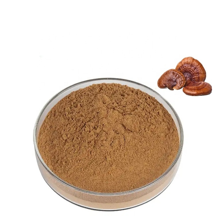 Factory supply Ganoderma lucidum extract 30 polysaccharide Beta glucan 30 reishi mushroom Spore Powder