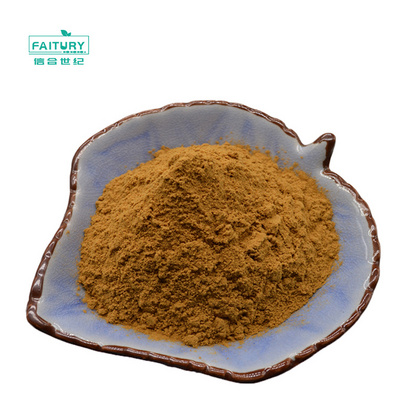 Factory Supply Fungus pleurotus eryngii extract Private Label 10:1/king oyster mushroom extract polysaccharide powder