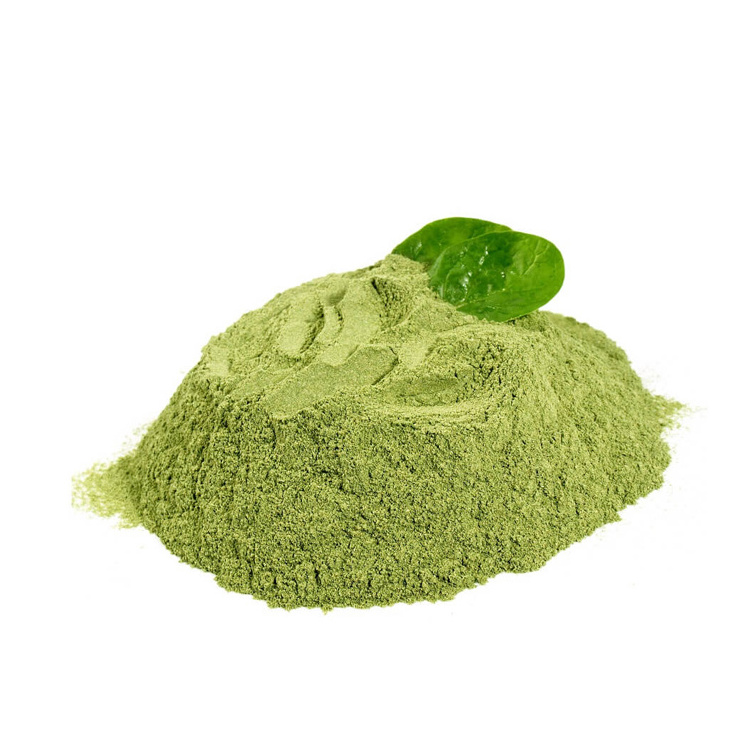 Factory Wholesale Organic Versatile Spinach Vegetable Powder Air Dried Dehydrated Spinach Powder