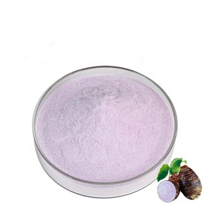 Wholesale Bulk Price Water Soluble Organic 100% Natural Pure Taro Root Extract Powder Premium Taro Powder