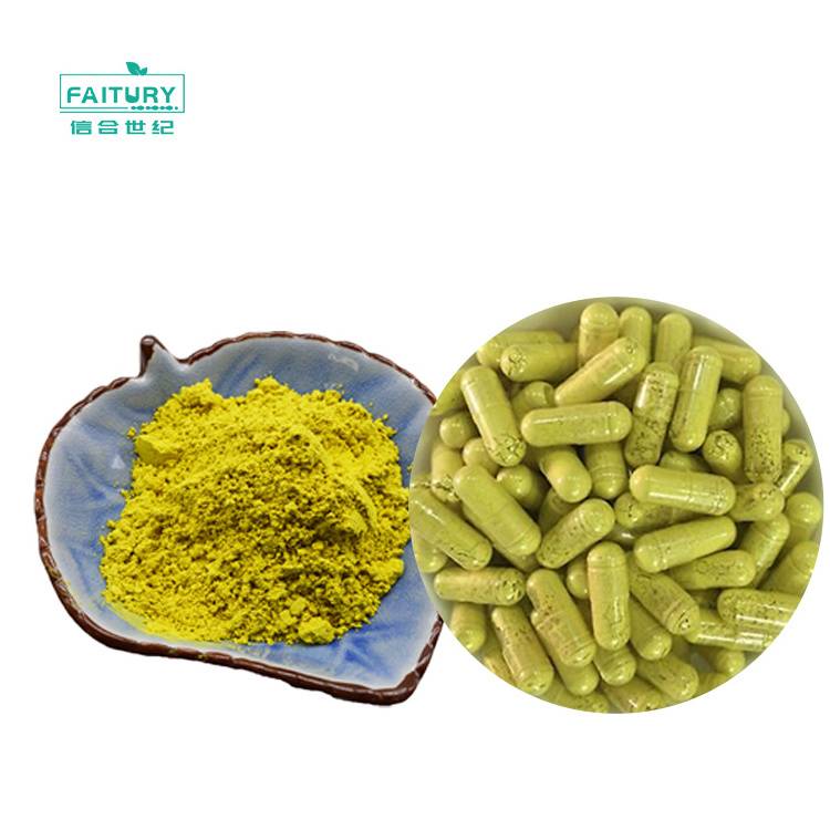 Factory Wholesale Quercetin Extract Powder Quercetin Dihydrate Quality Sophora Japonica Extract 95% 98% Quercetin