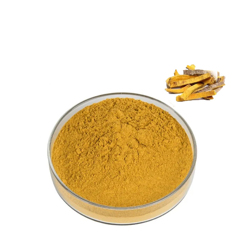 Factory Supply Coptis Rhizoma Extract Powder Supplement 98% Phellodendron Amurense Bark Extract Berberine Sulfate Extract