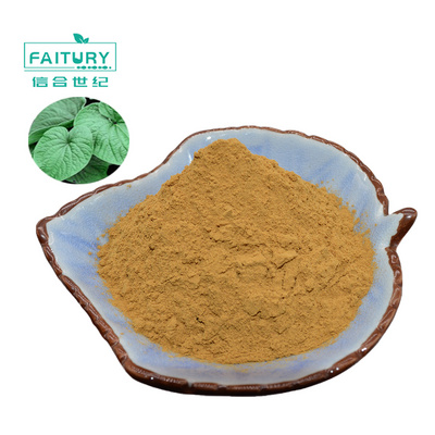 Bulk wholesale kava Root extract Kavalactones kava root Powder 10:1 kava extract powder