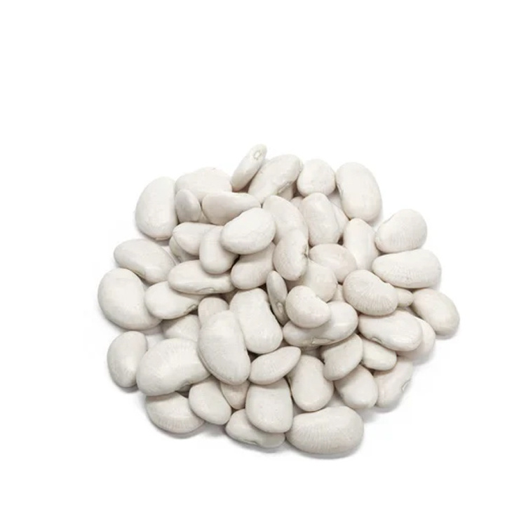 Factory OEM High Quality White Kidney Bean Powder 10:1 White Kidney Bean Extract Powder