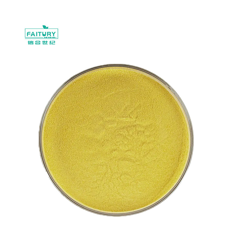 Factory Wholesale Quercetin Extract Powder Quercetin Dihydrate Quality Sophora Japonica Extract 95% 98% Quercetin