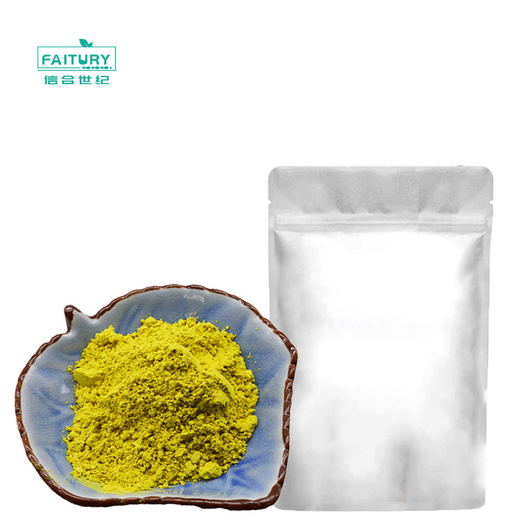 Factory Wholesale Quercetin Extract Powder Quercetin Dihydrate Quality Sophora Japonica Extract 95% 98% Quercetin